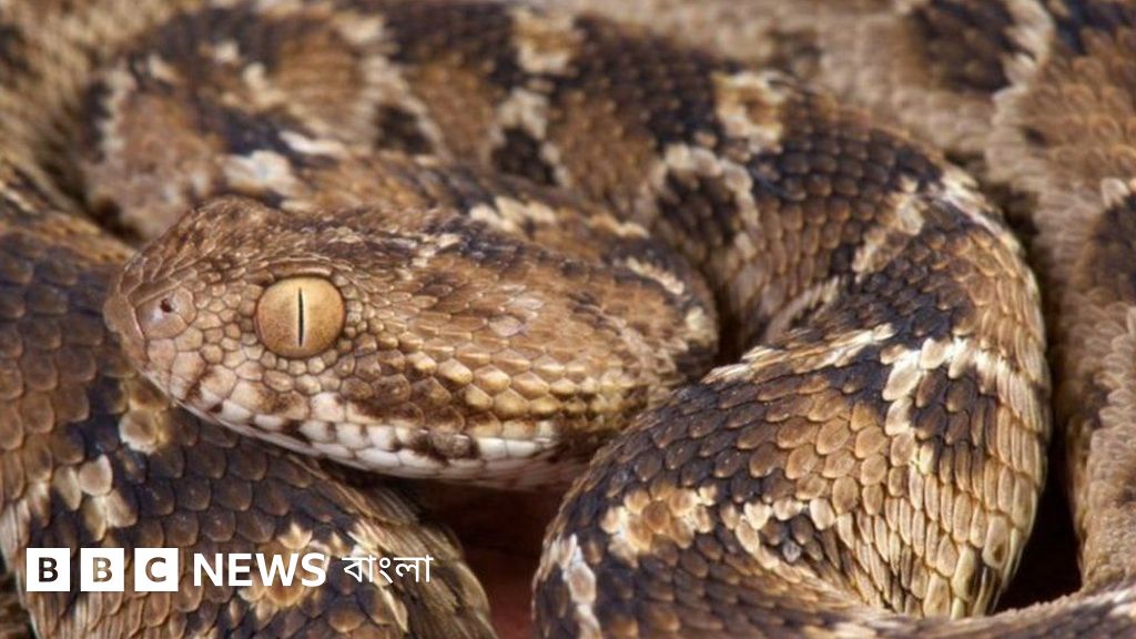 Құл қожайынның аяғын сүйеді