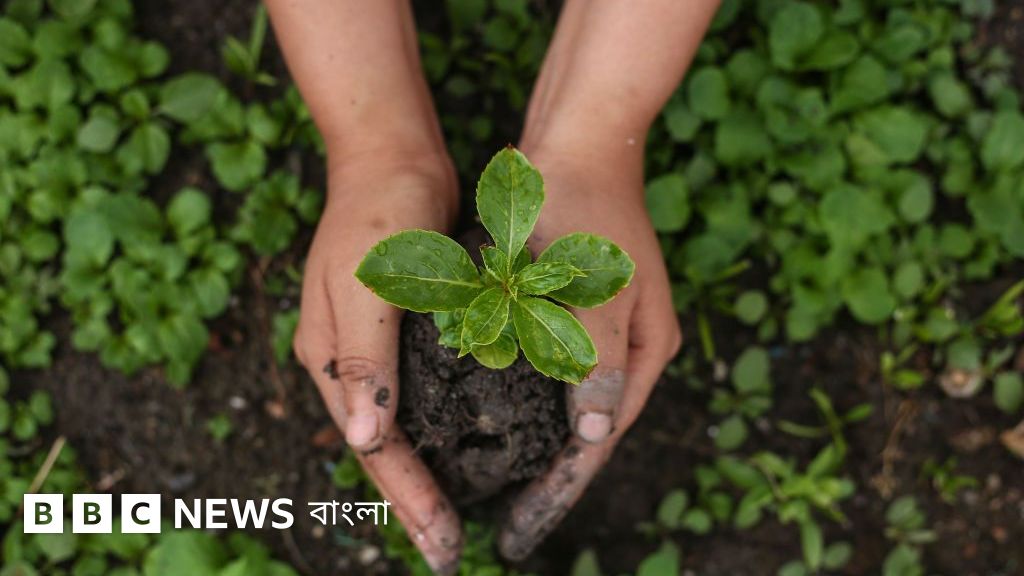 Kokrak videoda naqshli ignalar Lyndsy Fonseca yalangoch erotik porno