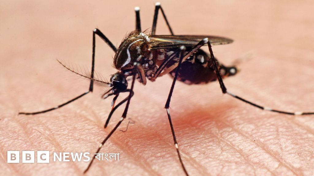 Onlaynda portlashni qanday qilishni orgatadi