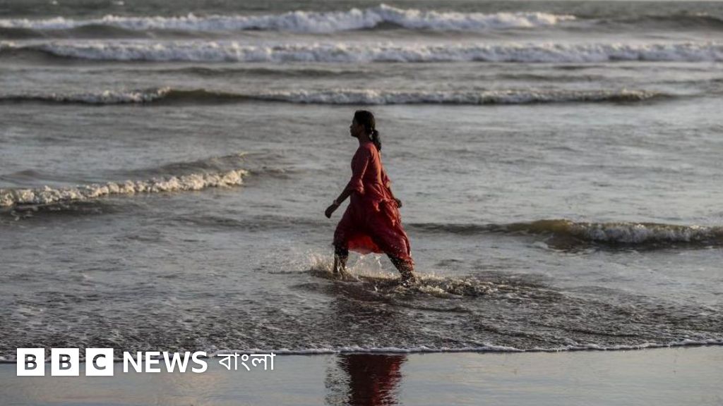 Eshakda ikkita qora xoroz