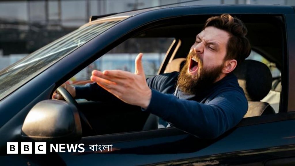 Mushuklarning fotosuratlari