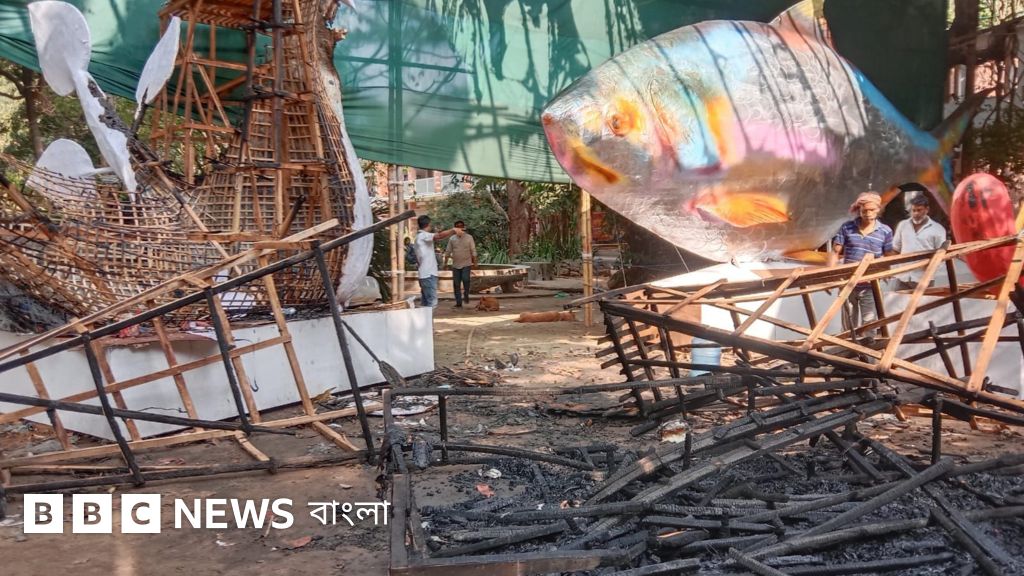 Mikroskop ostidagi mushuklar