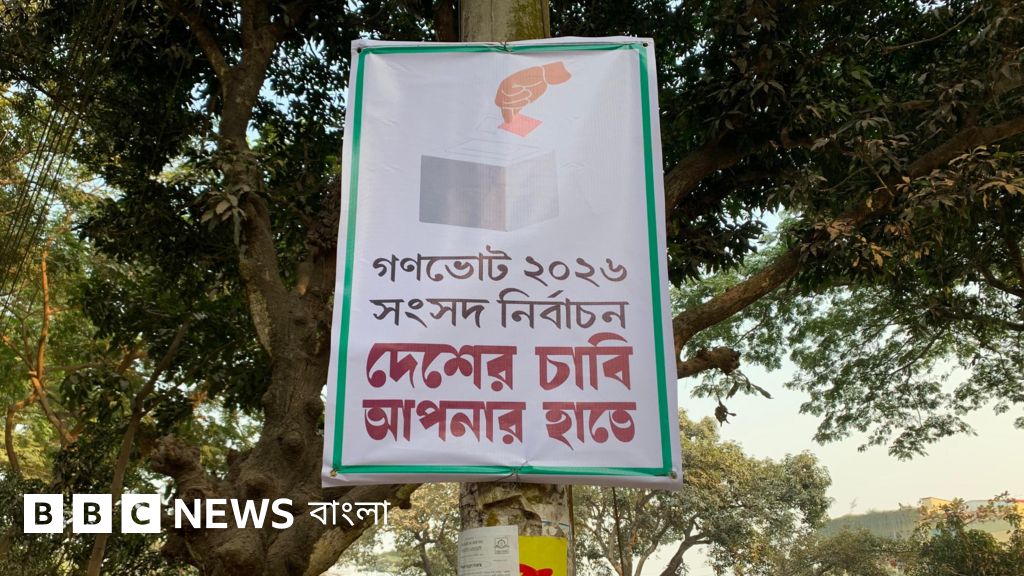 জুলাই সনদ বাস্তবায়নে সারাদেশে গণভোট নিয়ে প্রচারণা চালাচ্ছে সরকার