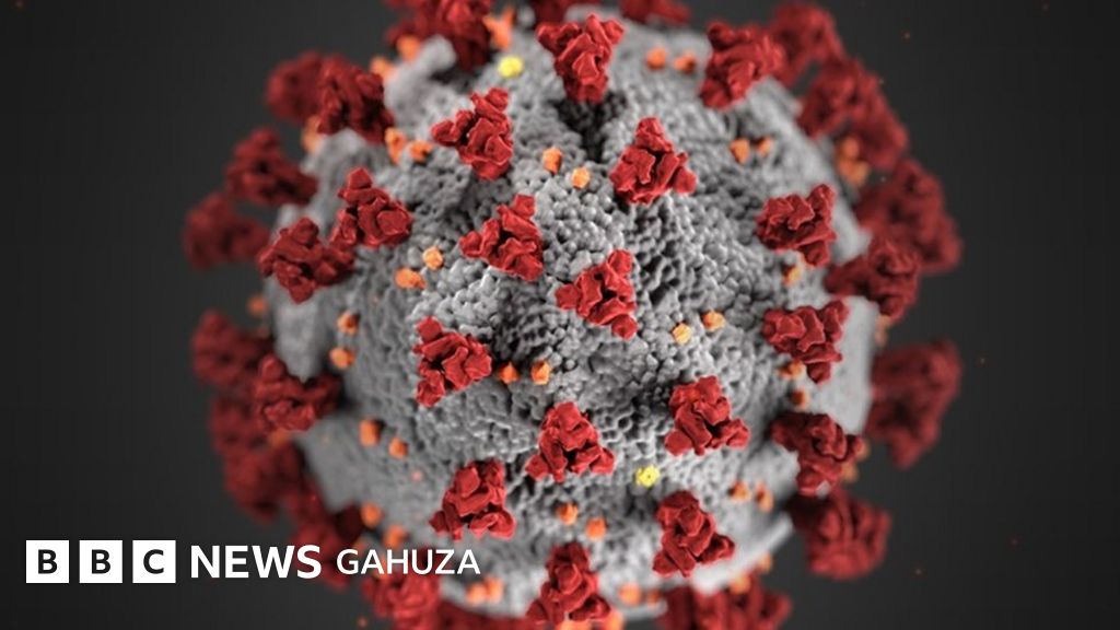 Coronavirus: Reba ikarita yerekana uko Covid-19 iri gukwira ku isi ...