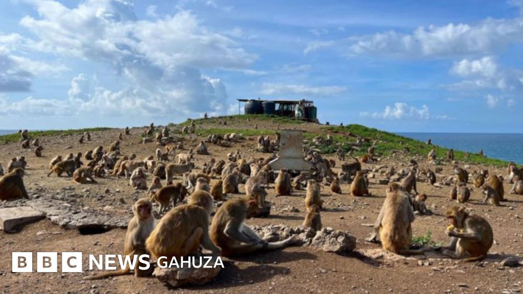 Puerto Riko: iri zinga ry’inkende hafi 1 800 zigigwako inyifato z ...