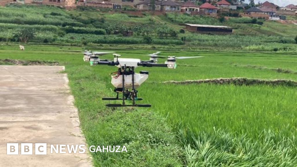 Malaria mu Rwanda Umusaruro wa drones i Kabuye na Rugende aho zirimo