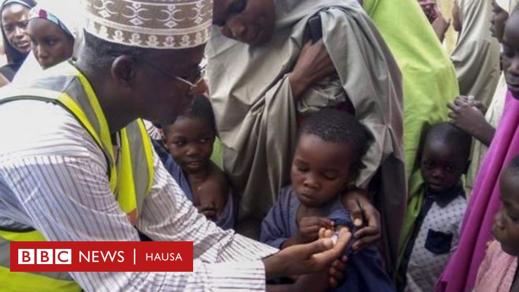 Sankarau Ta Kashe Mutane Fiye Da A Najeriya Kawo Yanzu Bbc News Hausa