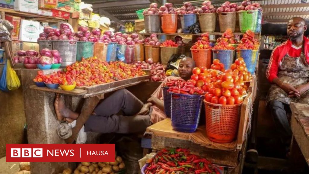 Nigeria's Economy: Is the World Bank's Stagnation Report a Reality or a Misleading Narrative?