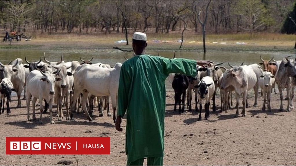 Rugar Fulani Buhari Ya Yi Allah Wadai Da Kiran Dattawan Arewa