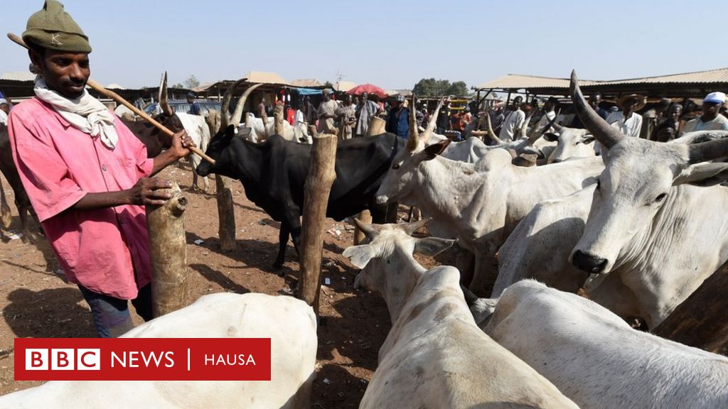 Nigeria 60 Waiwaye Kan Tarihin Fulani A Najeriya Bbc News Hausa 7828