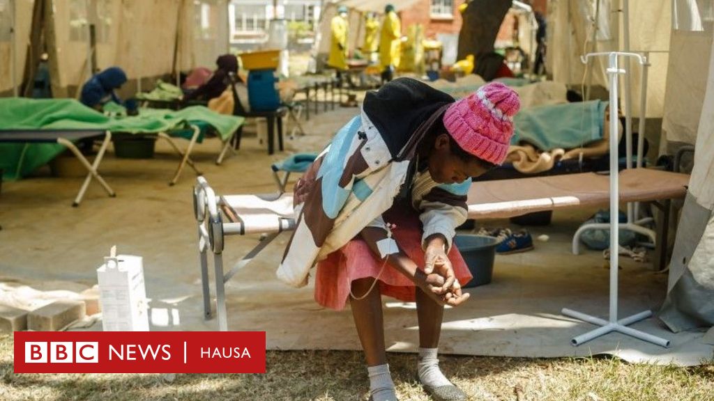 10 Bantaan Cutuka Na Musamman Waɗanda Ke Ƙaunaci Mutane Da Sauri