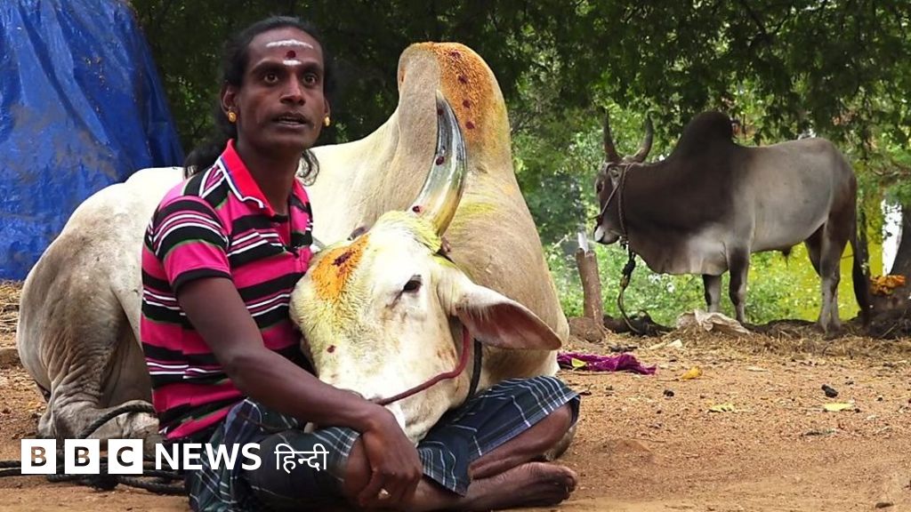 जलीकट्टू ने बदली इनकी ज़िंदगी