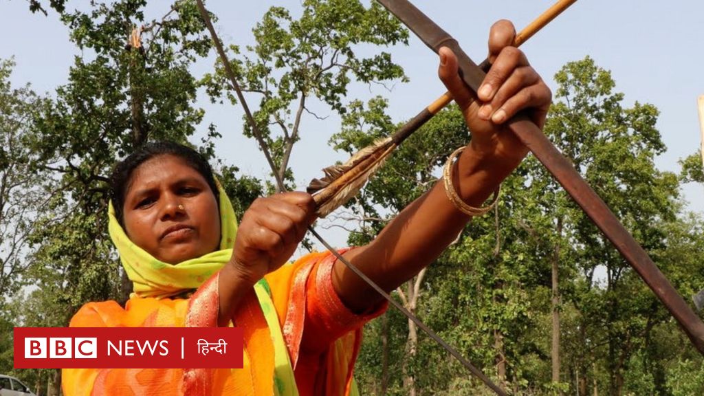 छत्तीसगढ़: कोयले के लिए काटे जा रहे हसदेव अरण्य के पेड़, बचाने के लिए डटे आदिवासी: ग्राउंड रिपोर्ट