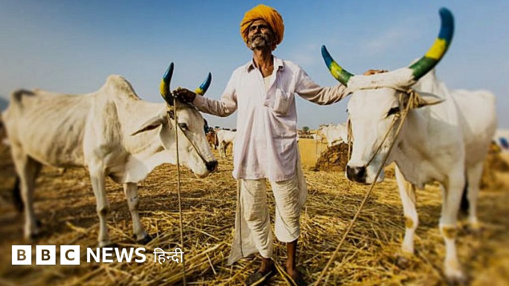 एमएसपी में बढ़ोतरीः क्या यूपी चुनाव से पहले किसानों का असंतोष कम कर पाएगी सरकार?