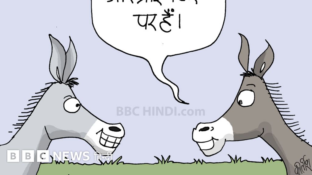 कार्टून: अच्छे दिन आए हैं - BBC News हिंदी