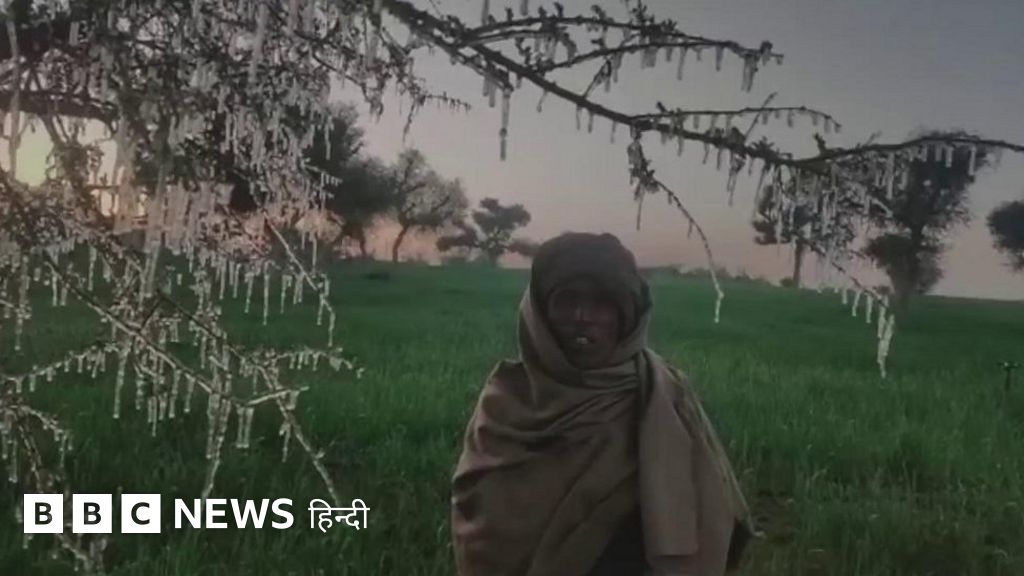 जब राजस्थान के कई हिस्सों में पेड़-पौधों पर जम गई बर्फ़
