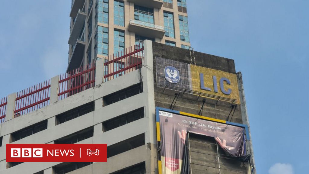 LIC का शेयर ख़रीदना फ़ायदे या नुकसान का सौदा? जानिए हर अहम बातें