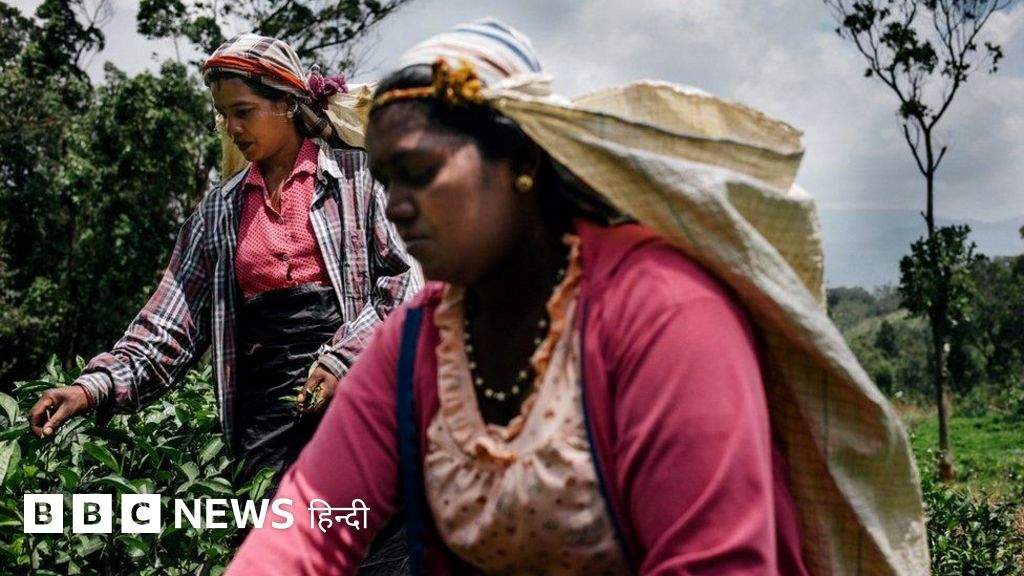 दिवालिया होने की कगार पर क्यों श्रीलंका, क्या चीन की है कोई भूमिका?