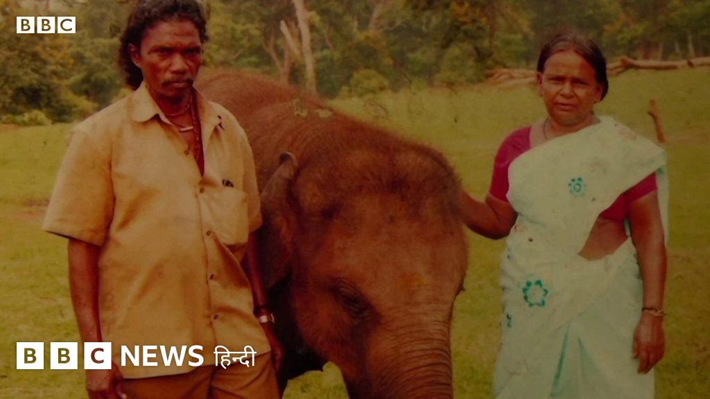 ऑस्कर जीतने वाले हाथी अपनी देखभाल करने वाले जोड़े से अलग हुए