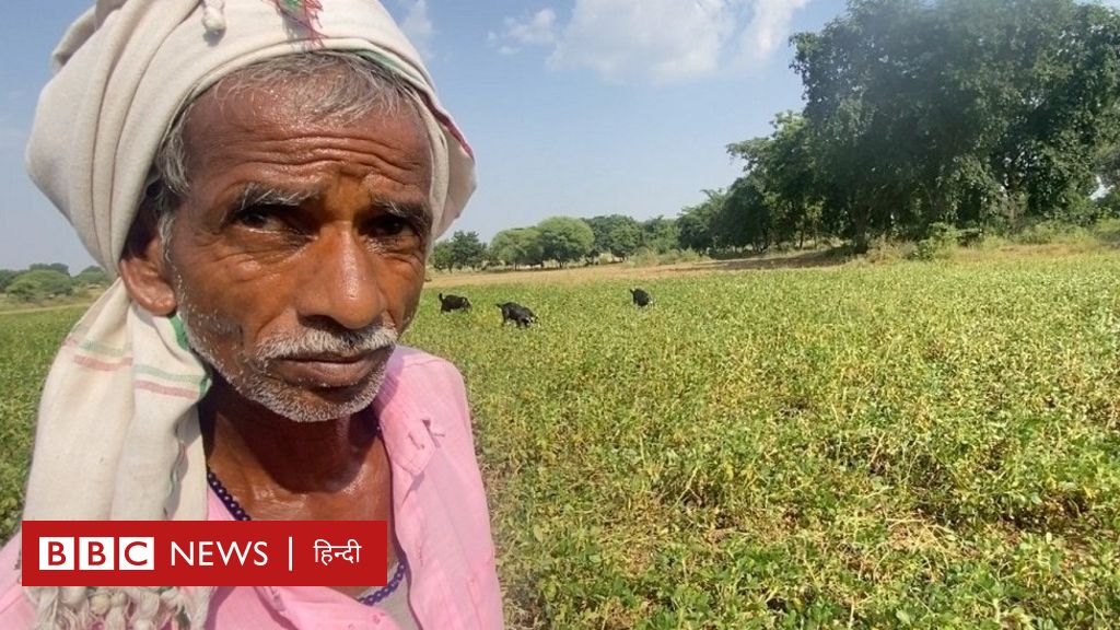 उत्तर प्रदेश: बुदेलखंड के किसानों के लिए पानी और बिजली की समस्या कितनी गंभीर?