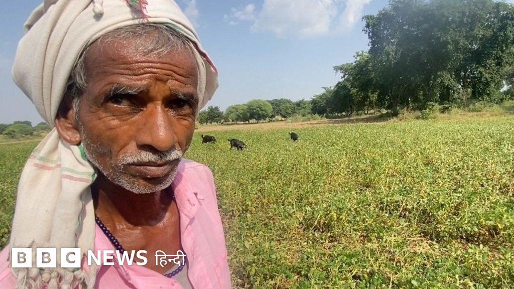 उत्तर प्रदेश: बुदेलखंड के किसानों के लिए पानी और बिजली की समस्या कितनी गंभीर?