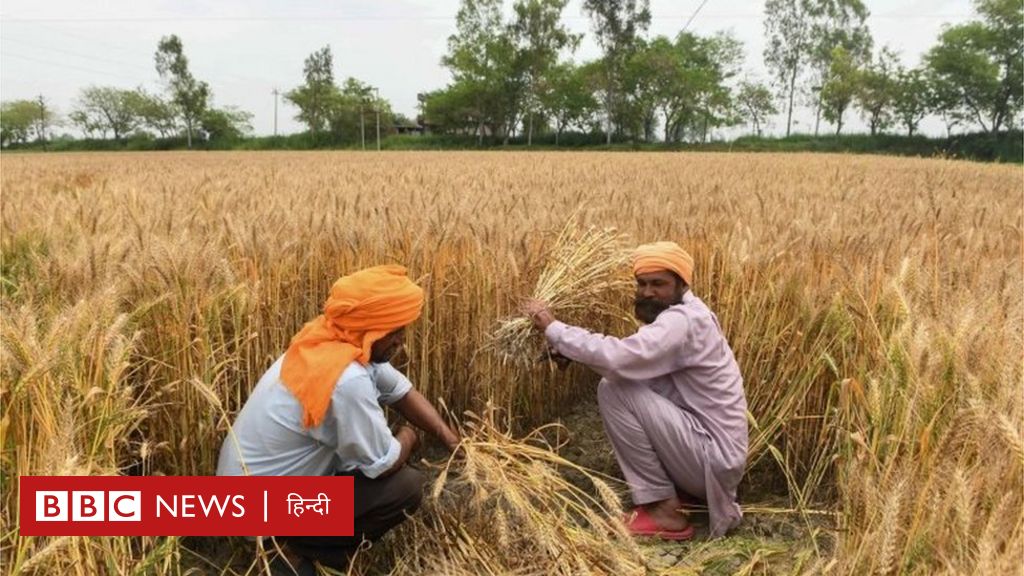 क र न व यरस और ल कड उन आख र द श क क स न क स क स स लड Bbc News ह द