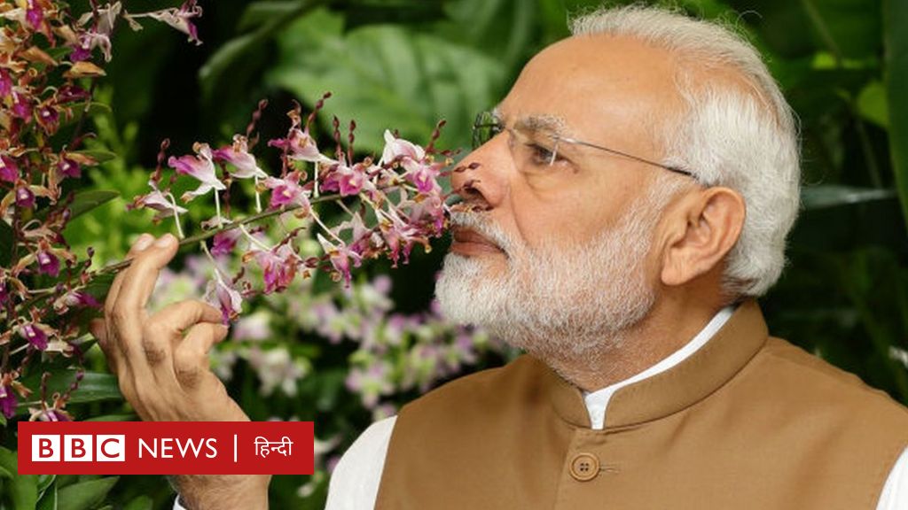 मोदी ने जिसका ज़िक्र किया वो फूल क्यों ख़ास है Bbc News हिंदी 3563