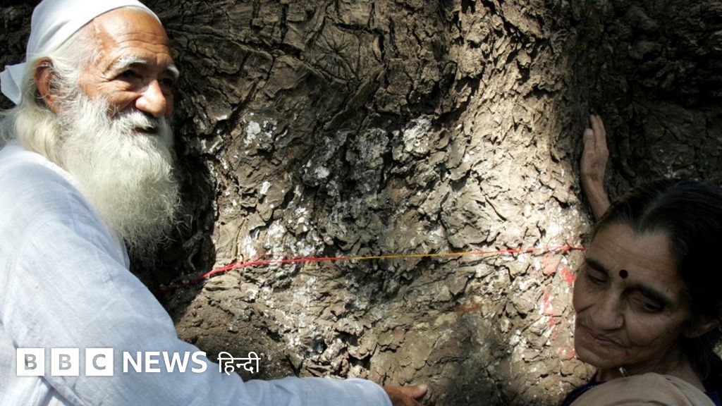 सुंदर लाल बहुगुणा: जिनके काम लोगों के ज़ेहन में हमेशा के लिए छपे रहेंगे