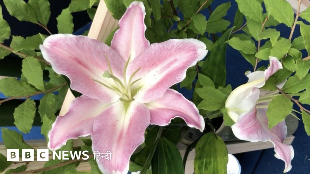 टोक्यो ओलंपिक डायरी: इकेबाना और भारत से उसका रिश्ता