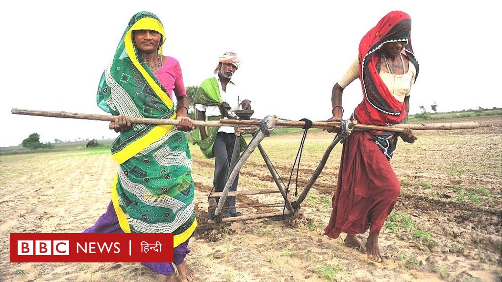 नज़रिया: किसानों की समस्या मोदी की नोटबंदी की देन? - BBC News हिंदी