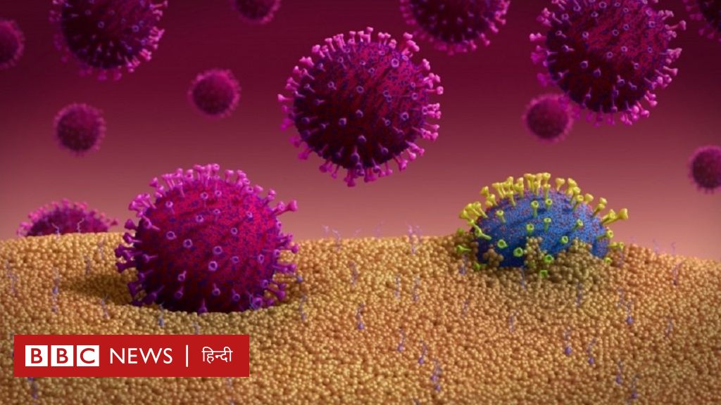 कोरोना को भगा सकता है सर्दी-ज़ुकाम वाला वायरस: रिसर्च