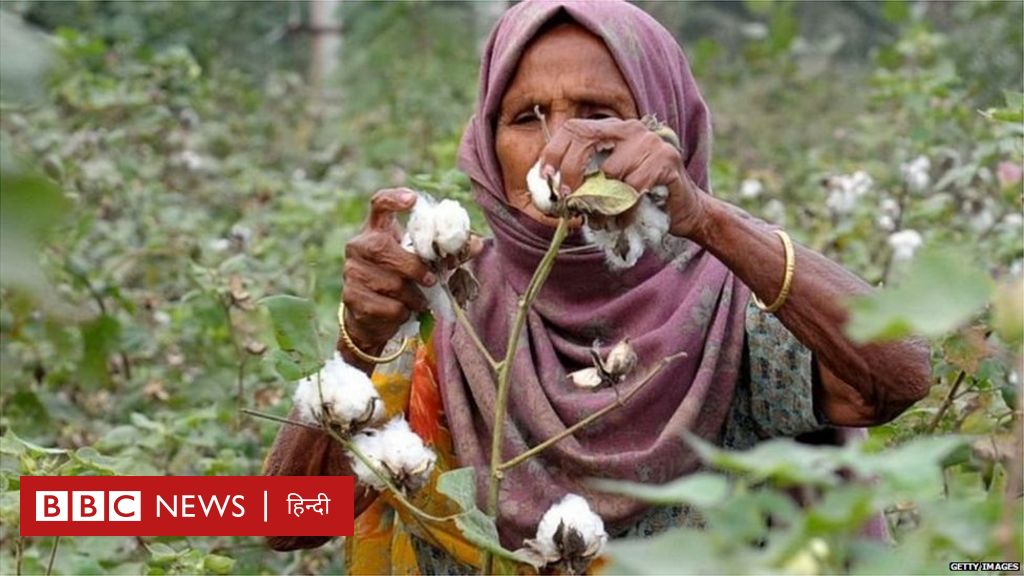 पाकिस्तान ने भारत से चीनी, कपास और ऊन के आयात को दी मंज़ूरी