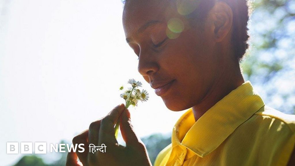 आर्टिफिशियल इंटेलिजेंस: टूथब्रश गंध सूंघकर कैसे बता देगा कि किसी को कैंसर है?