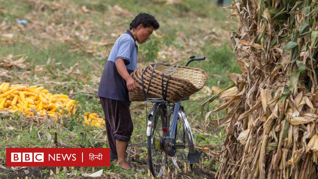 उत्तर कोरिया में सर्दियां आने के साथ क्यों बढ़ रहा है भुखमरी का डर