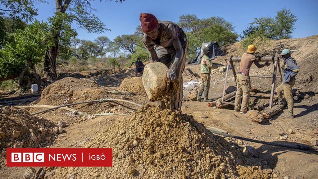 Zamfara Killings: Buhari Amachiela Ngwuputa Olaedo Na Steeti Ahụ - BBC ...