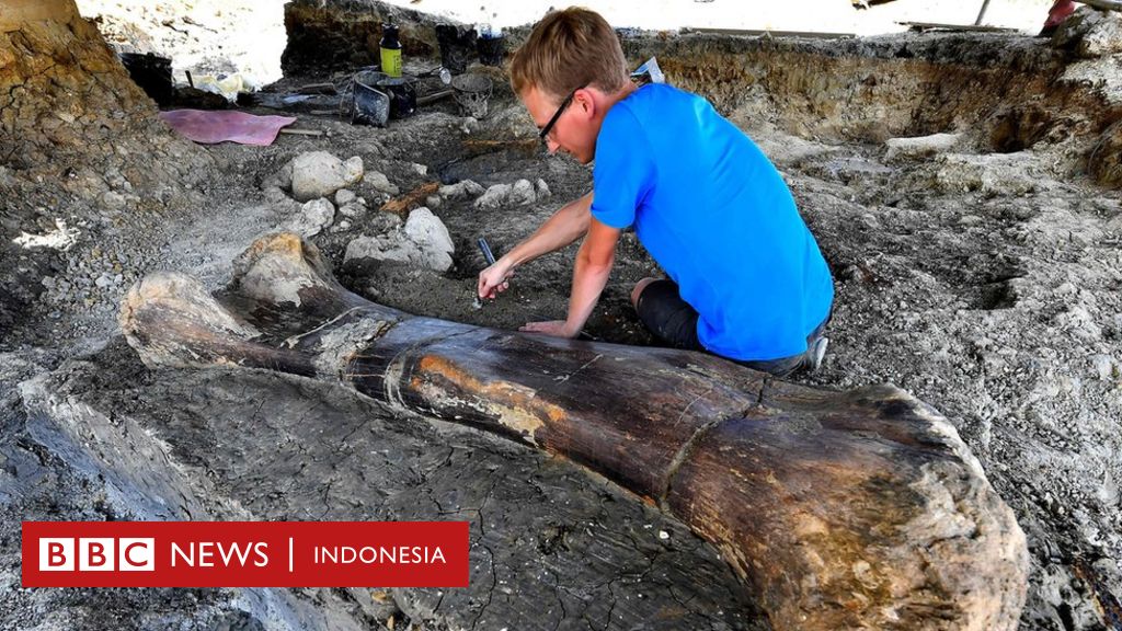 Fosil Tulang Dinosaurus Raksasa Ditemukan Di Prancis - BBC News Indonesia