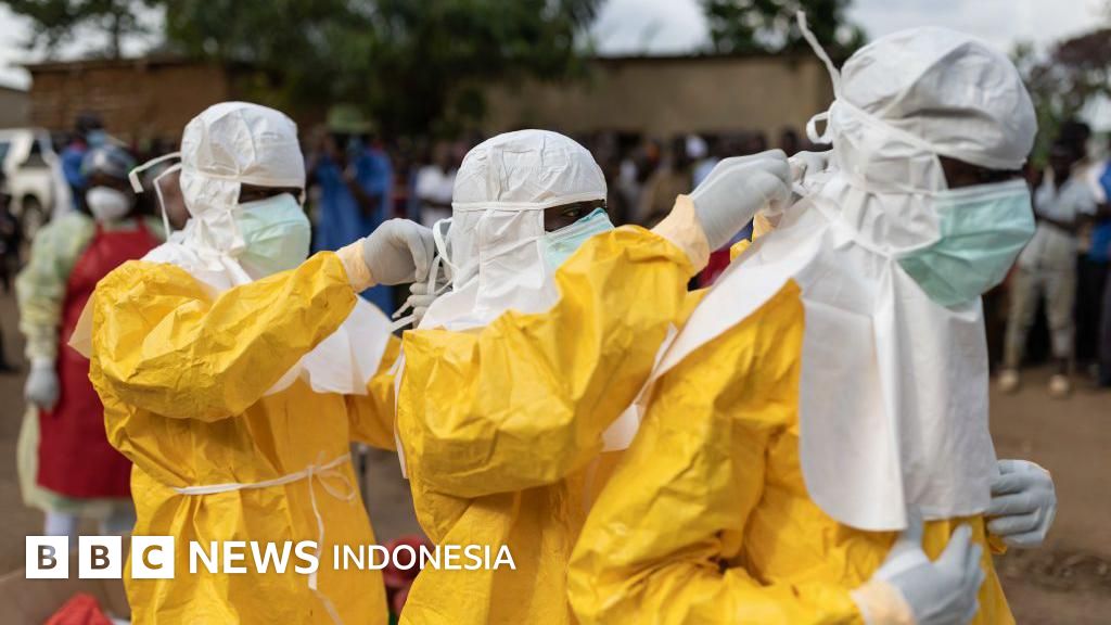 WHO Tetapkan Wabah Ebola di Kongo Darurat Internasional, Ini Fakta Lengkapnya