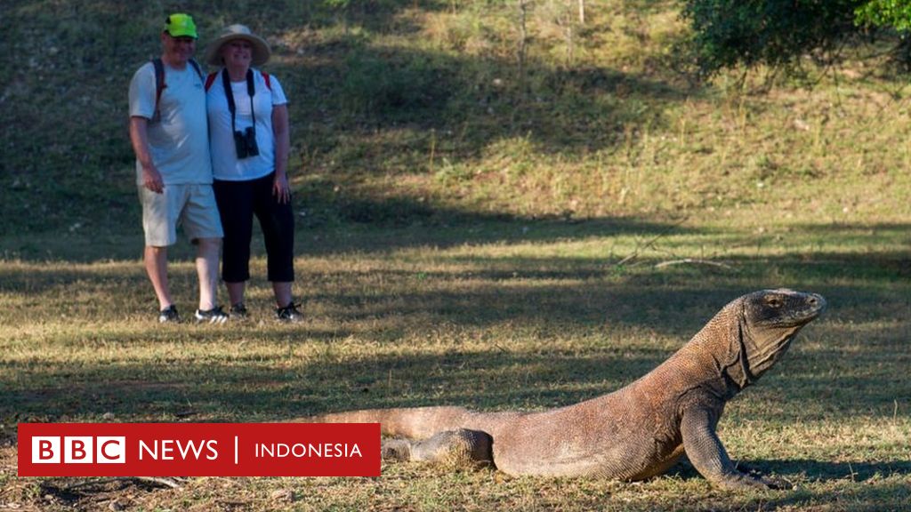 Komodo Dan Peringatan Unesco: Mengapa Pegiat Khawatir Dampak Pariwisata Di Taman Nasional Komodo? - Bbc News Indonesia