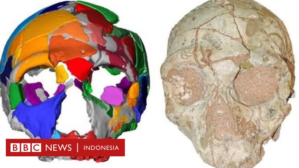 Makhluk homo sapiens yaitu jenis manusia seperti sekarang diperkirakan muncul pada kala