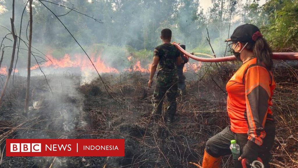 El Nino dimulai, BMKG peringatkan potensi karhutla - tujuh provinsi Indonesia status siaga darurat