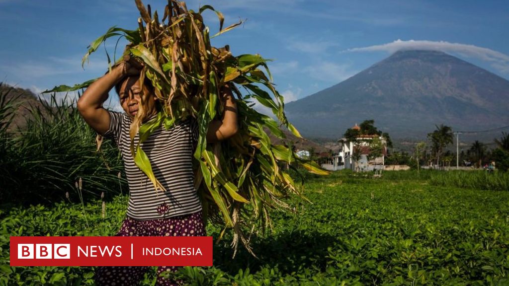 Relokasi Pengungsi Gunung Agung Ke Luar Bali Memicu Masalah Baru Bbc News Indonesia