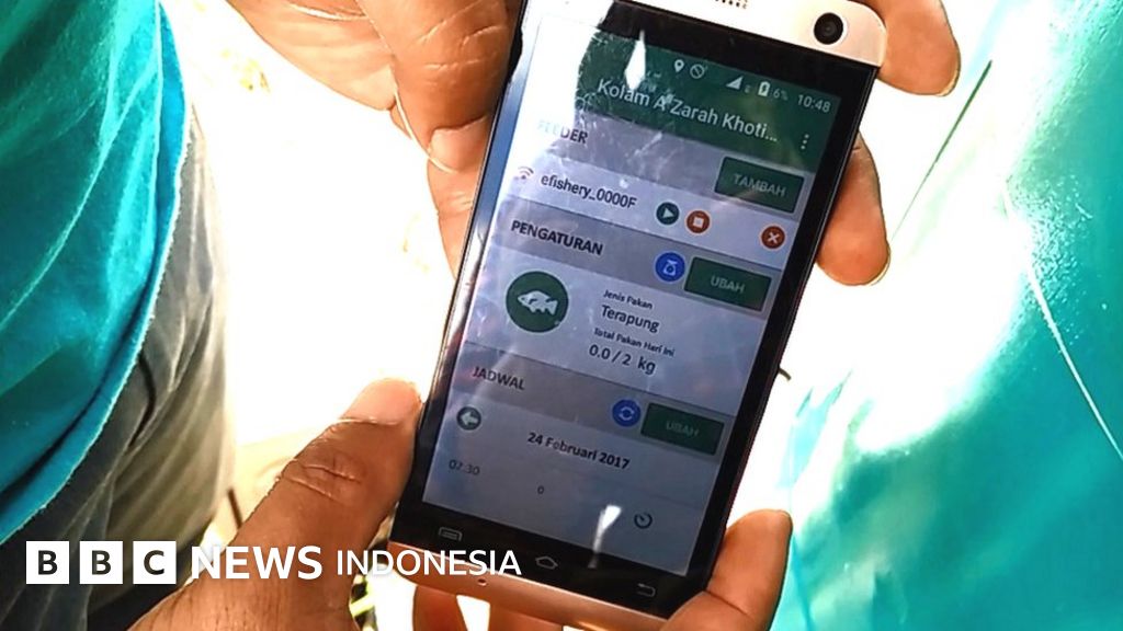 Arti Kata Feeder Dalam Kamus Inggris Indonesia Terjemahan Dari Bahasa Inggris Ke Bahasa Indonesia Kamus Lengkap Online Semua Bahasa