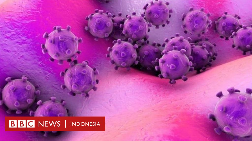 Corona, virus misterius dari China telah 'menginfeksi ratusan orang