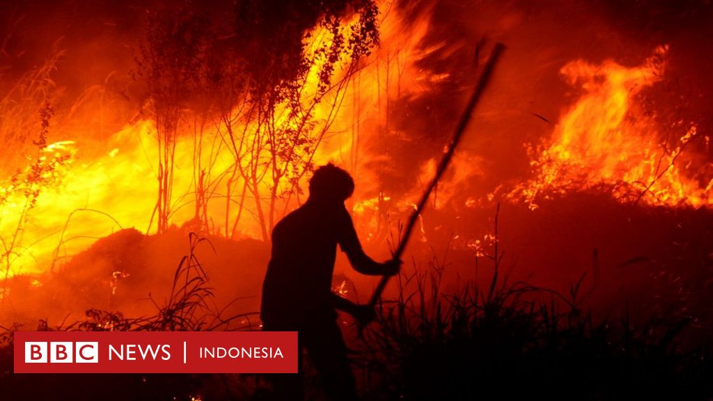 Kebakaran Hutan Ancaman Jokowi Pecat Pejabat Tni Polri