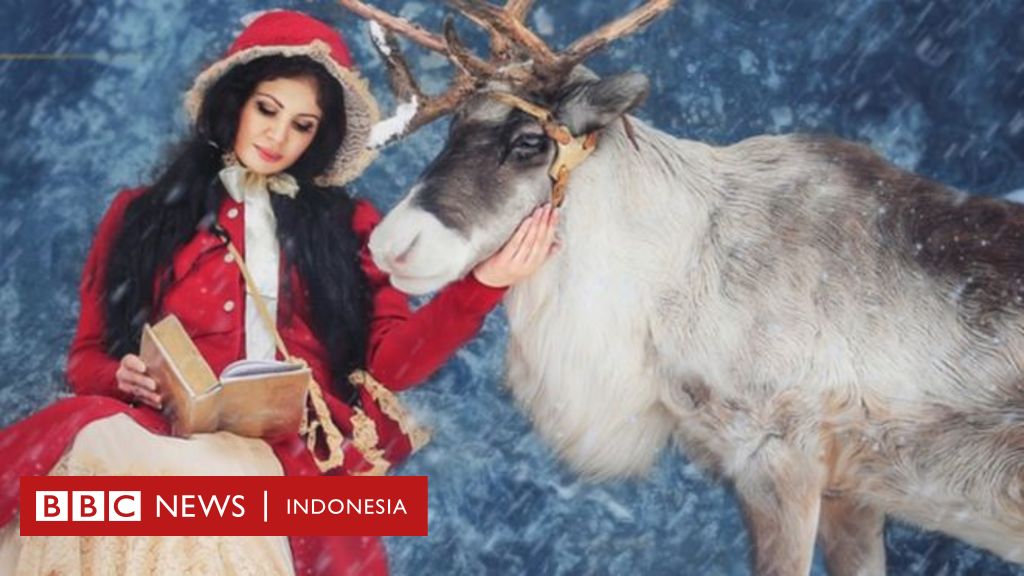 900 Koleksi Gambar Binatang Rusa Kutub HD Terbaik