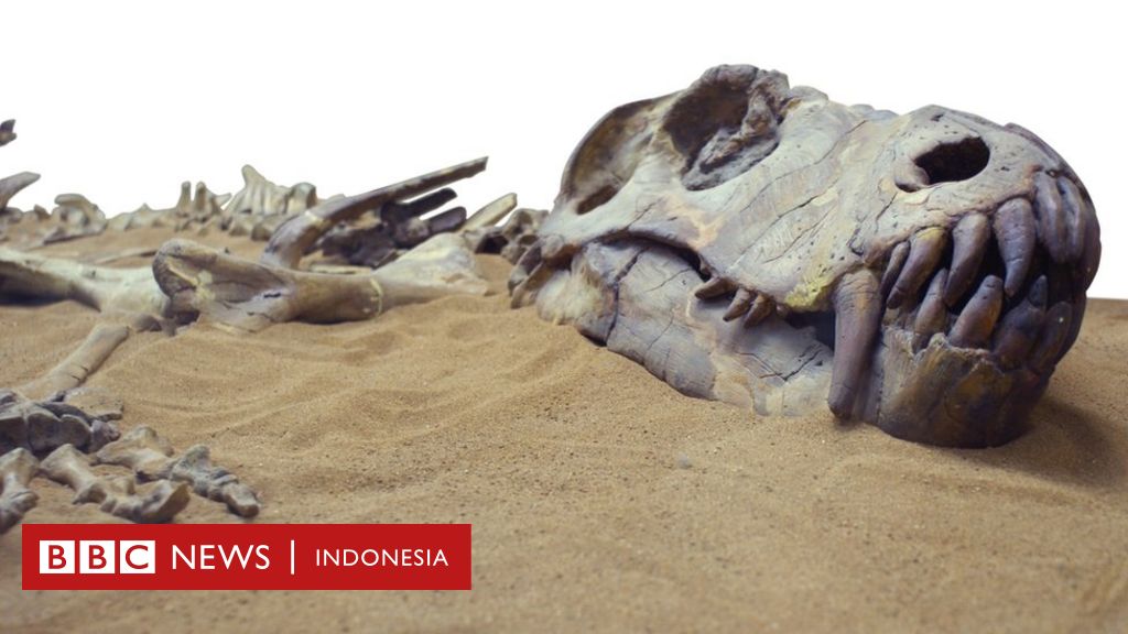 Hewan-hewan yang punah: Dari dodo, burung yang tak bisa terbang sampai quagga, zebra unik - BBC Indonesia