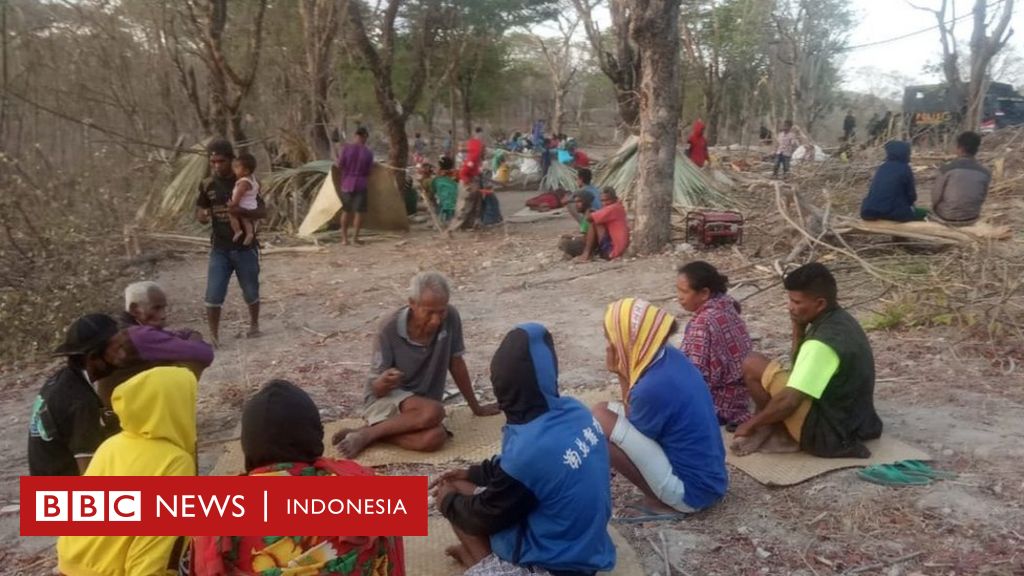 Masyarakat Adat Besipae Di Ntt Yang Digusur Dari Hutan Adat Pubabu