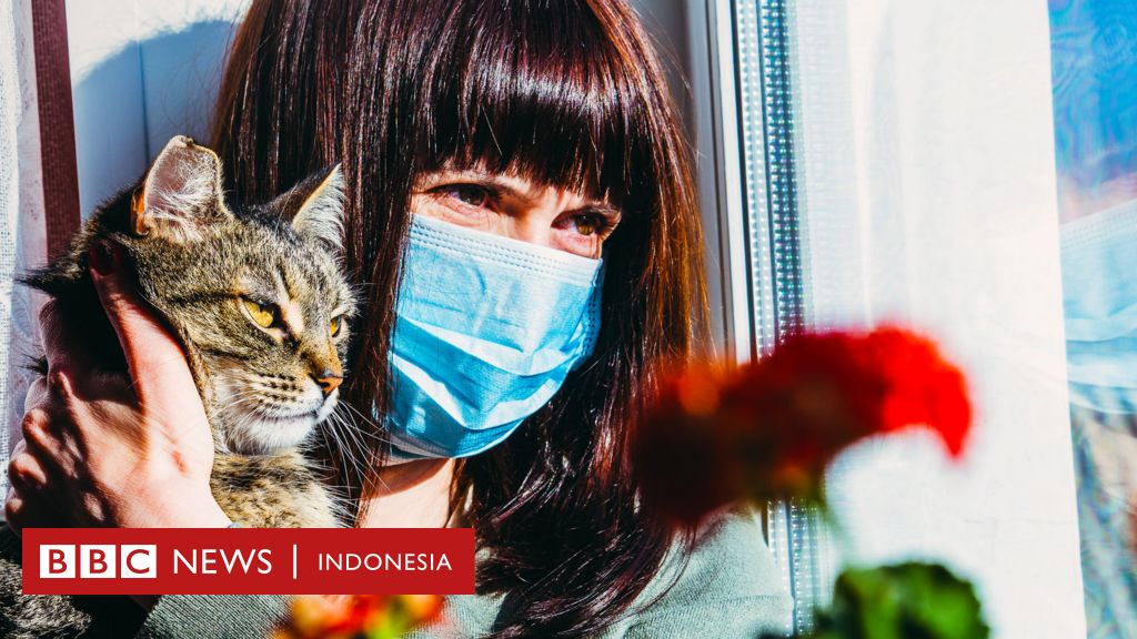 Virus Corona: Berapa Lama Waktu Yang Dibutuhkan Untuk Sembuh? - BBC ...