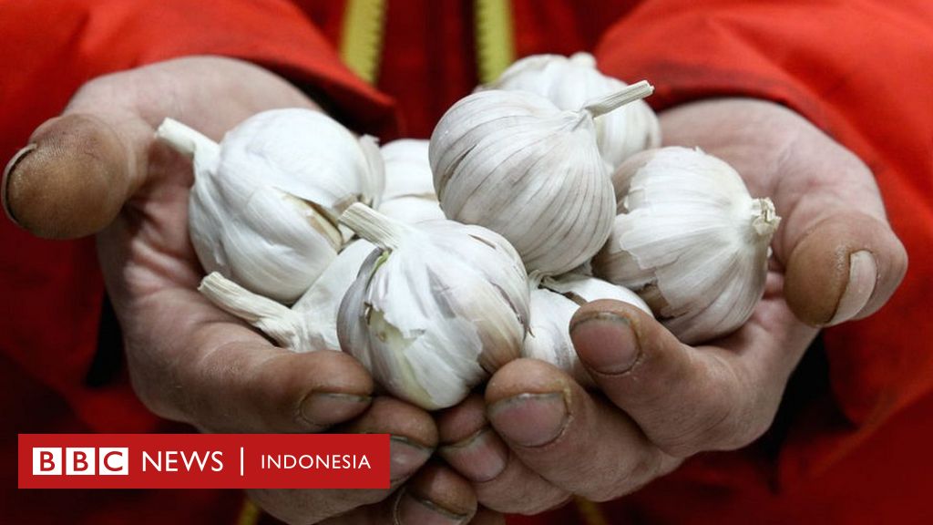 Virus corona: 'Dari bawang putih hingga mandi air panas' adalah hoaks yang  harus diabaikan - BBC News Indonesia