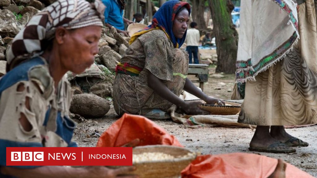 Apakah orang Belanda mencuri teff, 'makanan super' dari ...